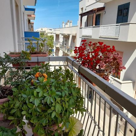 B&B Famigliare Arcadia Polignano 폴리나노 아마레 외부 사진